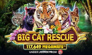 aa888 Big Cat Rescue Megaways